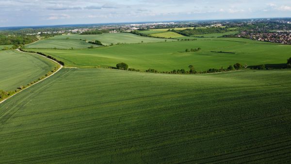 Exploring the Financial Pitfalls: Investing in UK Agricultural Land for Non-Agricultural Uses
